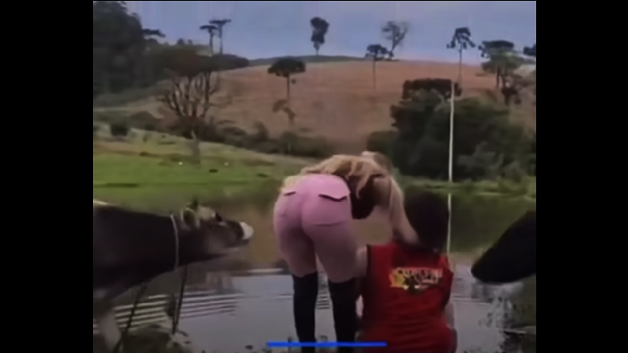 Not a Cow